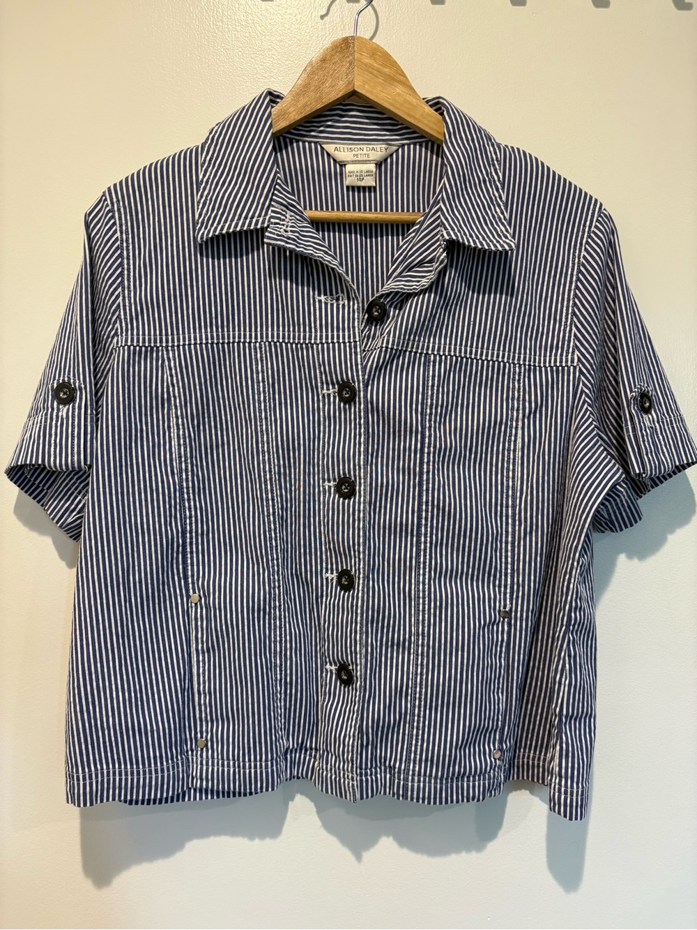 Allison Daley Women’s Blue & White Striped Short-Sleeve Button-Down Shirt P14